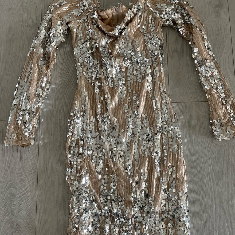 Sequin Embellished Dress - Silver and Tan